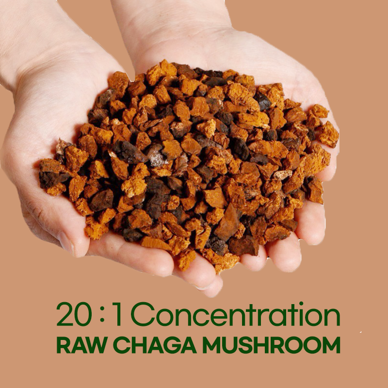 
                  
                    Chaga Mushroom | X20 | 500mg
                  
                