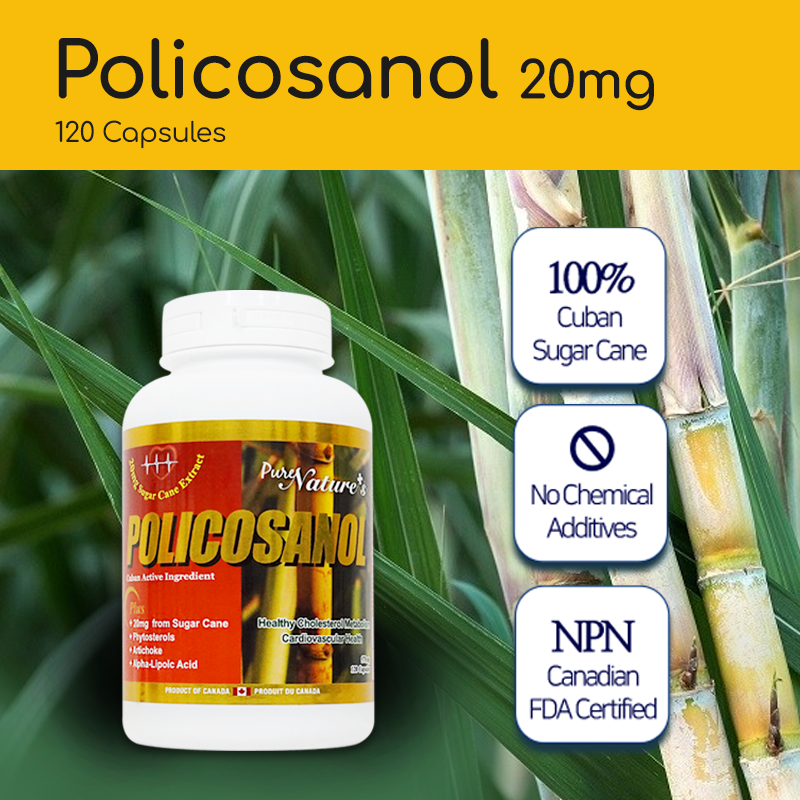 
                  
                    Policosanol | Sugar Cane Extract | 20mg
                  
                
