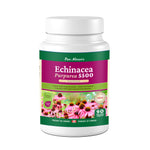 Echinacea | Herb Purpurea 5500 - PNC Pure Natures Canada